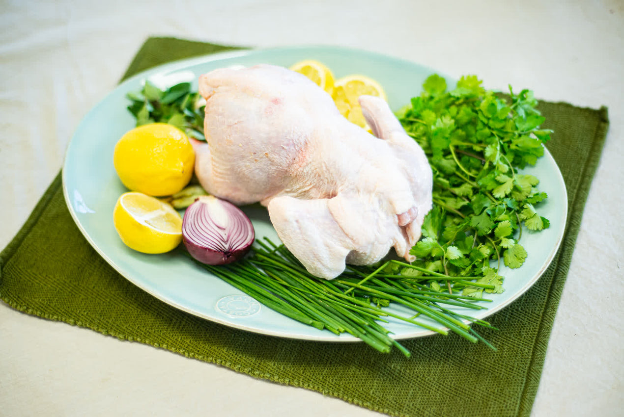 SIZE 14 CHICKEN image